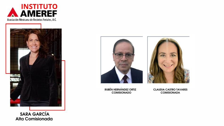 Comisionda-instituto-ameref